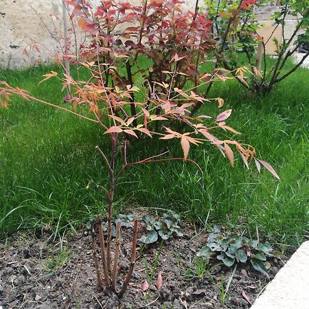 B&B 4U Matera Buitenkant foto