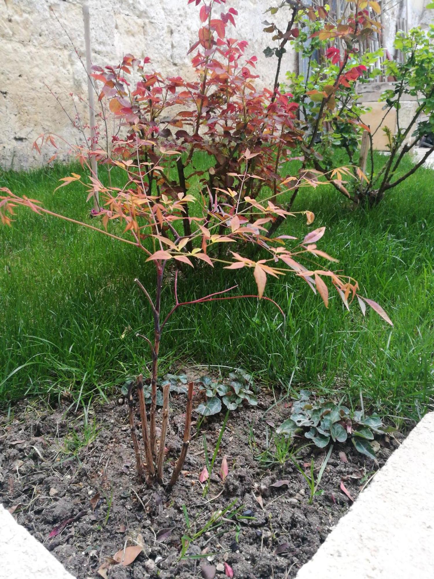 B&B 4U Matera Buitenkant foto
